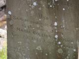 image of grave number 785389